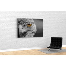 Tablo 360 Şahin Kanvas Tablo