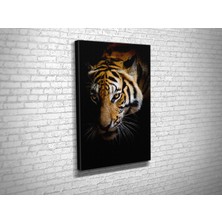 Tablo 360 Kaplan Kanvas Tablo