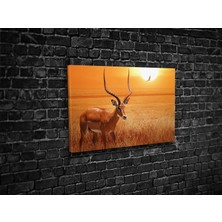 Tablo 360 Günbatımı Antilop Kanvas Tablo