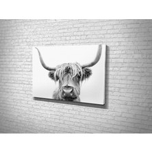 Tablo 360 Scottish Highland Kanvas Tablo