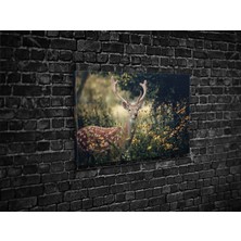 Tablo 360 Geyik Kanvas Tablo