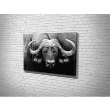 Tablo 360 Bufalo Kanvas Tablo