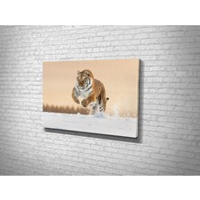 Tablo 360 Karda Kaplan Kanvas Tablo