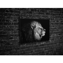 Tablo 360 Aslan Kanvas Tablo