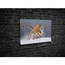 Tablo 360 Karda Kaplan Kanvas Tablo