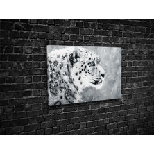 Tablo 360 Leopar Kanvas Tablo