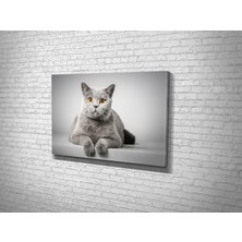 Tablo 360 Kedi Kanvas Tablo
