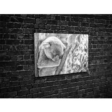 Tablo 360 Koala Kanvas Tablo