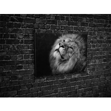 Tablo 360 Aslan Kanvas Tablo
