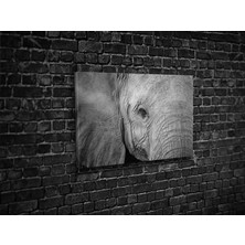 Tablo 360 Fil  Kanvas Tablo