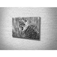 Tablo 360 Çita Kanvas Tablo