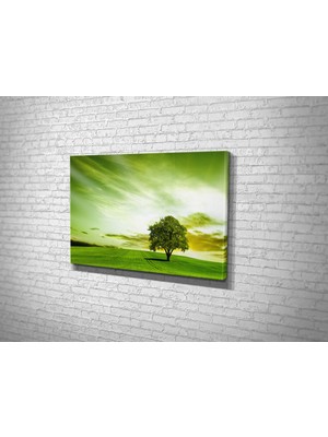 Tablo 360 Ağaç Tek Başına Kanvas Tablo