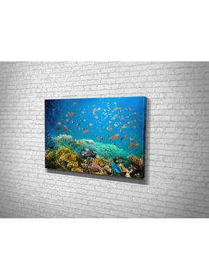 Tablo 360 Deniz Yaşamı Kanvas Tablo