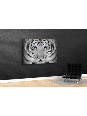 Tablo 360 Kaplan  Kanvas Tablo