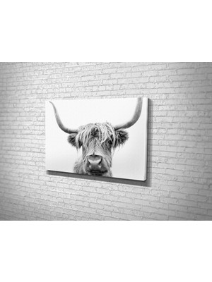 Tablo 360 Scottish Highland Kanvas Tablo