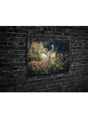 Tablo 360 Geyik Kanvas Tablo