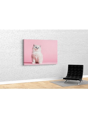 Tablo 360 Kedi Kanvas Tablo