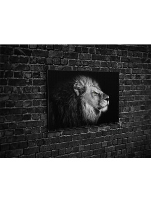 Tablo 360 Aslan Kanvas Tablo