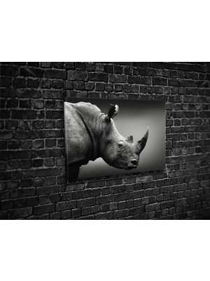 Tablo 360 Gergedan Kanvas Tablo