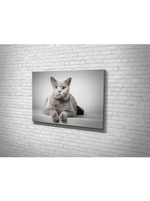 Tablo 360 Kedi Kanvas Tablo