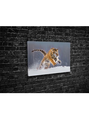 Tablo 360 Karda Kaplan Kanvas Tablo