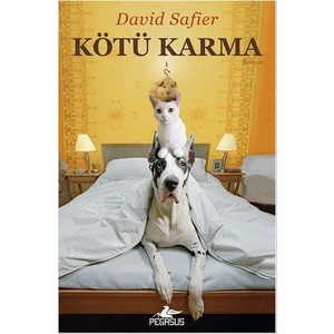 Kötü Karma - David Safier