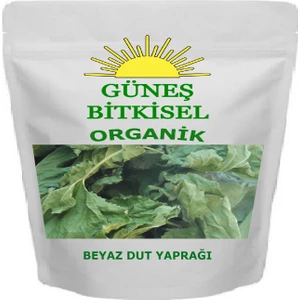 Beyaz Dut Yaprağı Kurusu