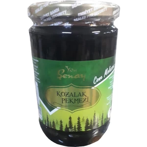 Çam Kozalağı Pekmezi 800 gr
