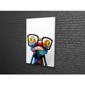 Tablo 360 Soyut Kurbağa Kanvas Tablo