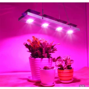 250W Full Spectrum Bitki Yetiştirme Lambası.
