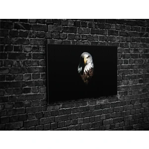 Tablo 360 Kartal Kanvas Tablo