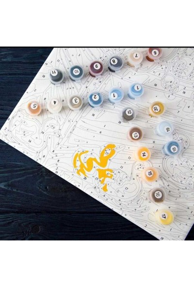 Lily Hobbyland Kız Kulesi Çerçeveli Sayılarla Boyama Seti 40 x 50 cm