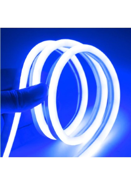 10 Metre 220 Volt Esnek Neon Hortum Şerit LED Işık Aydınlatma Tak Çalıştır Mavi Işık