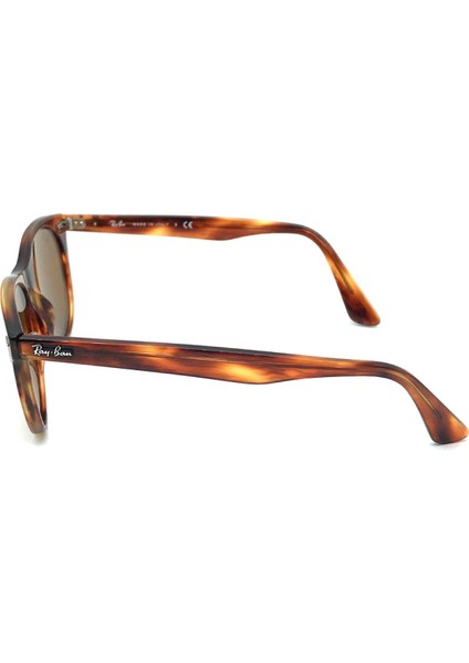 RB2185 954 33 Wayfarer Iı Kadın Güneş Gözlüğü modelleri