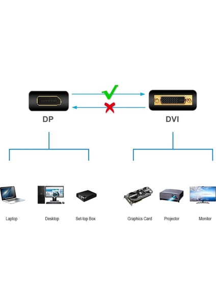 m TSD1012 Display Port To DVI 1.8 Metre Kablo