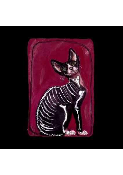 Skeleton Cat Kupa Bardak