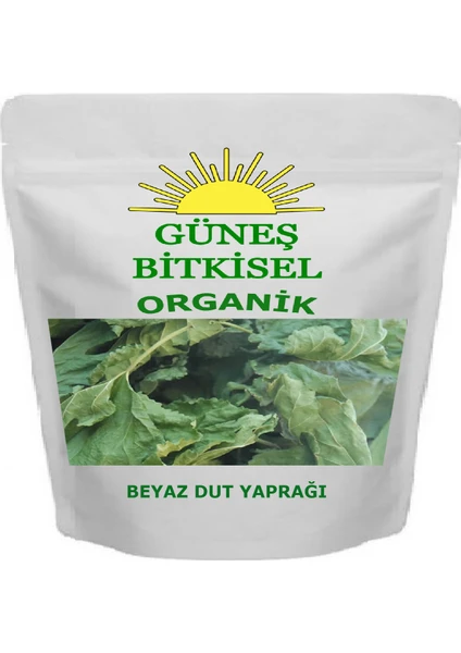 Beyaz Dut Yaprağı Kurusu