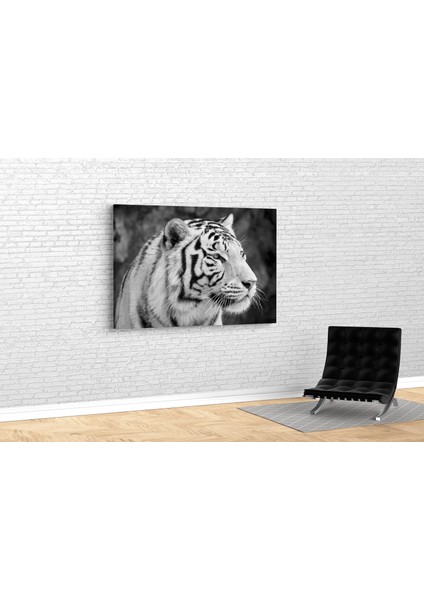 Tiger Kanvas Tablo fiyatları