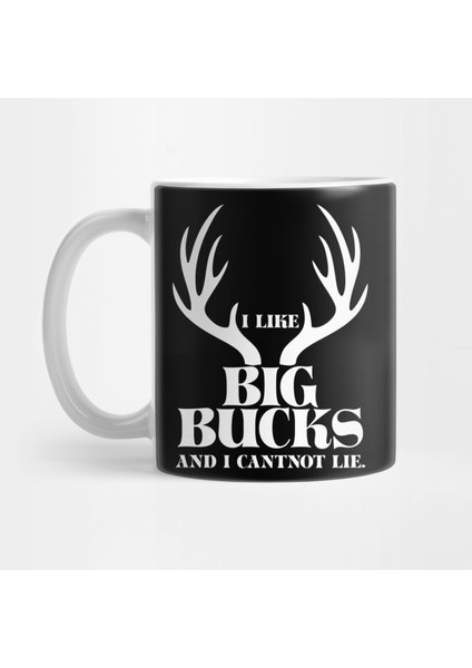 I Like Big Bucks And I Cannot Lie Kupa Bardak