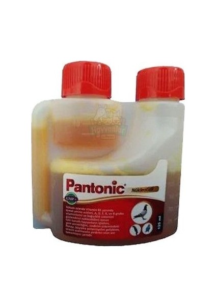 Pantonic 125 ml