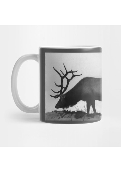 Elk Drawing By Iain Stone Kupa Bardak