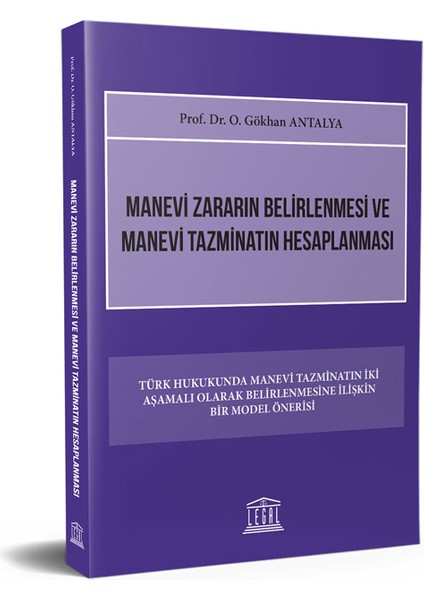 Manevi Zararın Belirlenmesi ve Manevi Tazminatın Hesaplanması