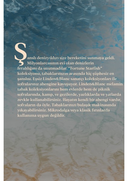 Fortune Starfish 4'lü Büyük Melamin Tabak Seti