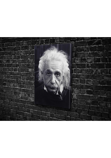 Einstein Kanvas Tablo