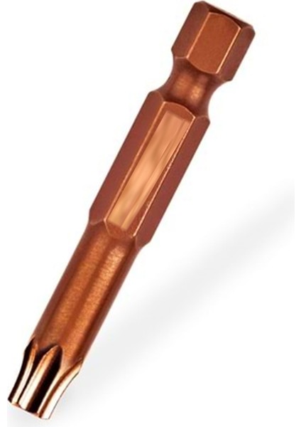 Titanyum Bits Uç T30X50 - (30 Adet)