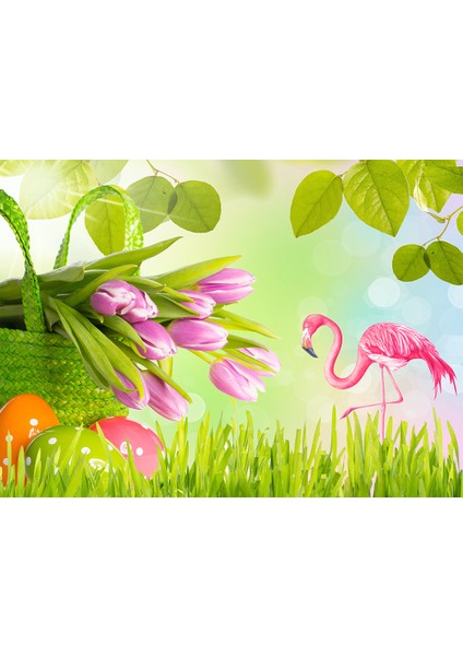 Flamingo Desenli Duvar Kağıdı