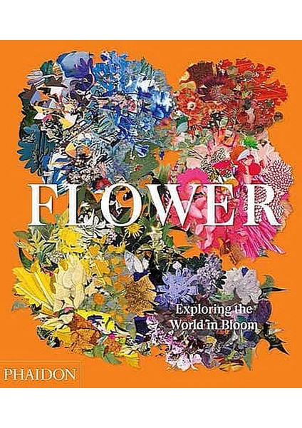 Flower exploring The World In Bloom - Shane Connolly