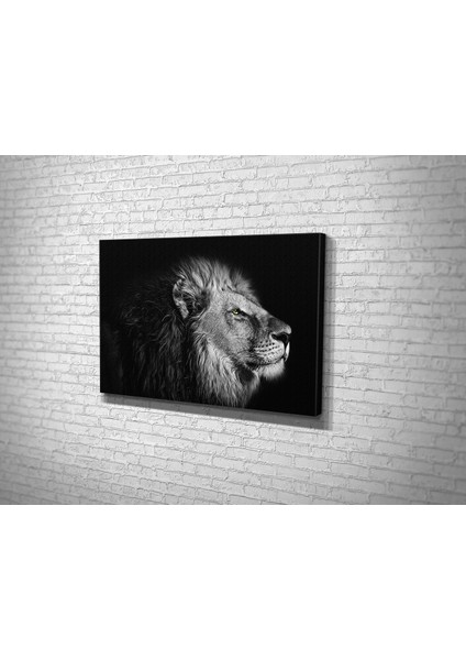 Aslan Kanvas Tablo