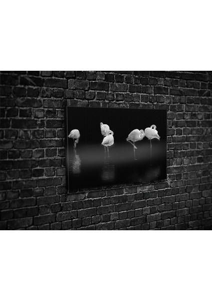 Flamingo Kanvas Tablo fiyatları