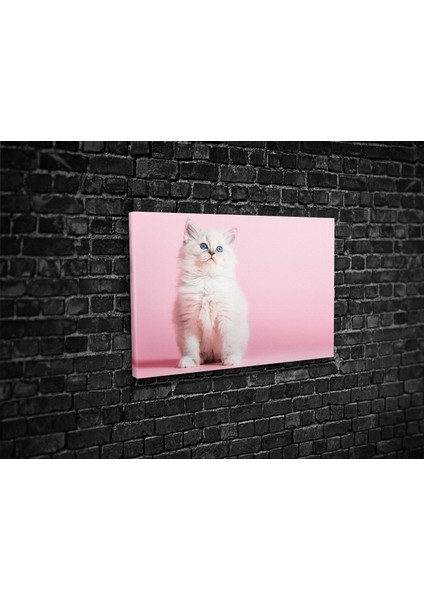 Kedi Kanvas Tablo fiyatları